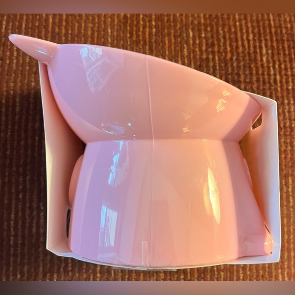 Cat Food Bowl - Tilted and Elevated - Picture 5 of 8